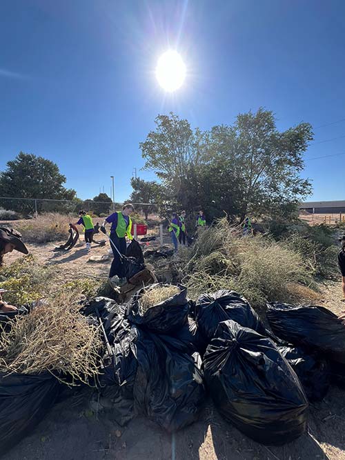 Picking up trash, bags in foreground